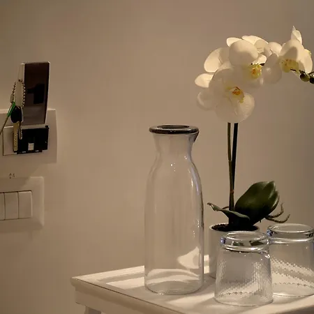 招待所 奥林匹克魅力旅馆 罗马