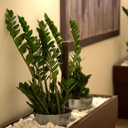 奥林匹克魅力旅馆 招待所