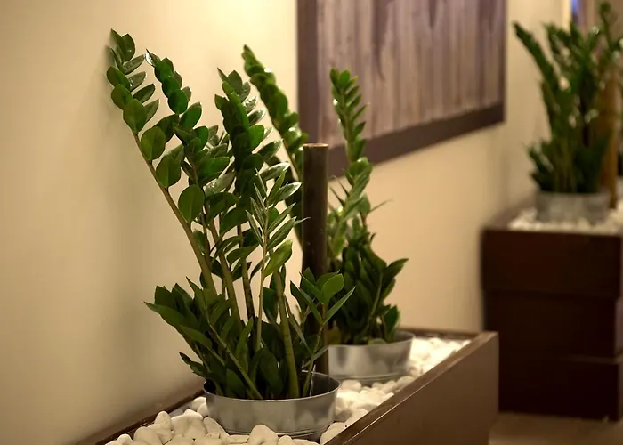 Olympic Charme Pensjonat